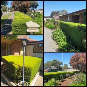 Jims Mowing Southern Adelaide Pic 3