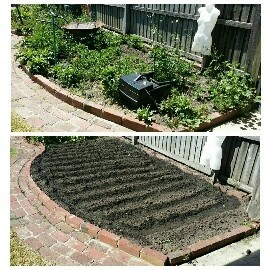 Marino's Mowing & House Maintenance Pic 5 - Veggie Patches