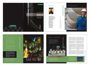 [AS]: Design Pic 3 - annual report design