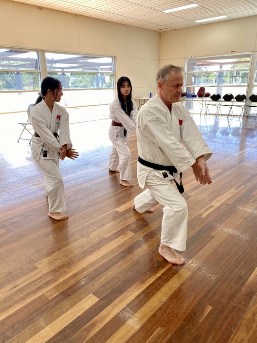 Heiko Ryu Goju Karate Pic 1