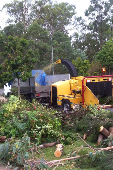 A1 Trees and Gardening Pic 1 - Mulching