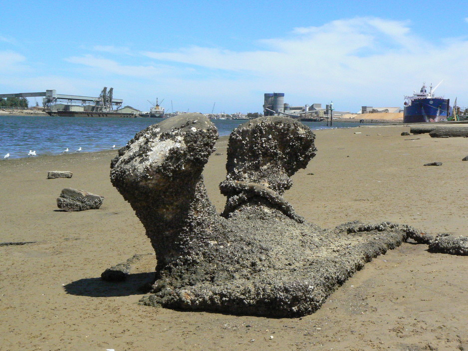 Foreshore Fencing Pic 2