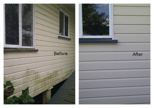 James Window & Exterior Cleaning Minyama Pic 4