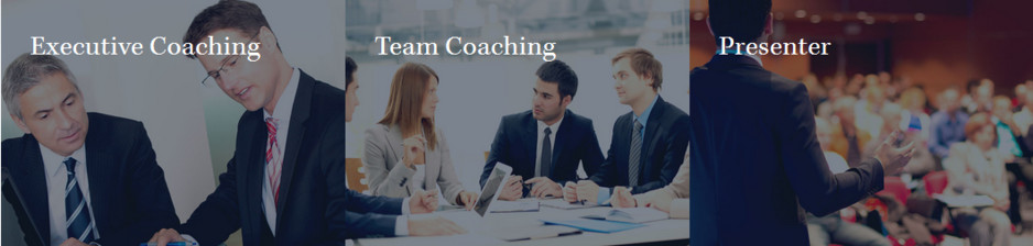 Revel Gordon Pty Ltd Pic 1 - Executive Coaching Team Coaching Presenter