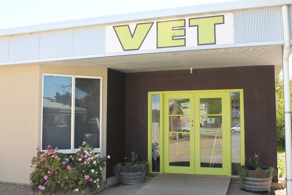 Yankalilla Veterinary Clinic Pic 1 - The clinic has a fresh new look