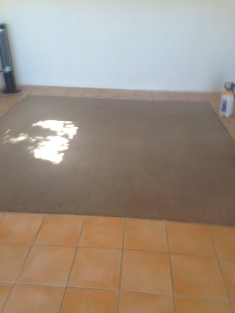 Flash-Dry Carpet Cleaning Pic 1 - after clean