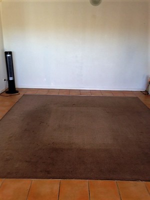 Flash-Dry Carpet Cleaning Pic 4 - before clean