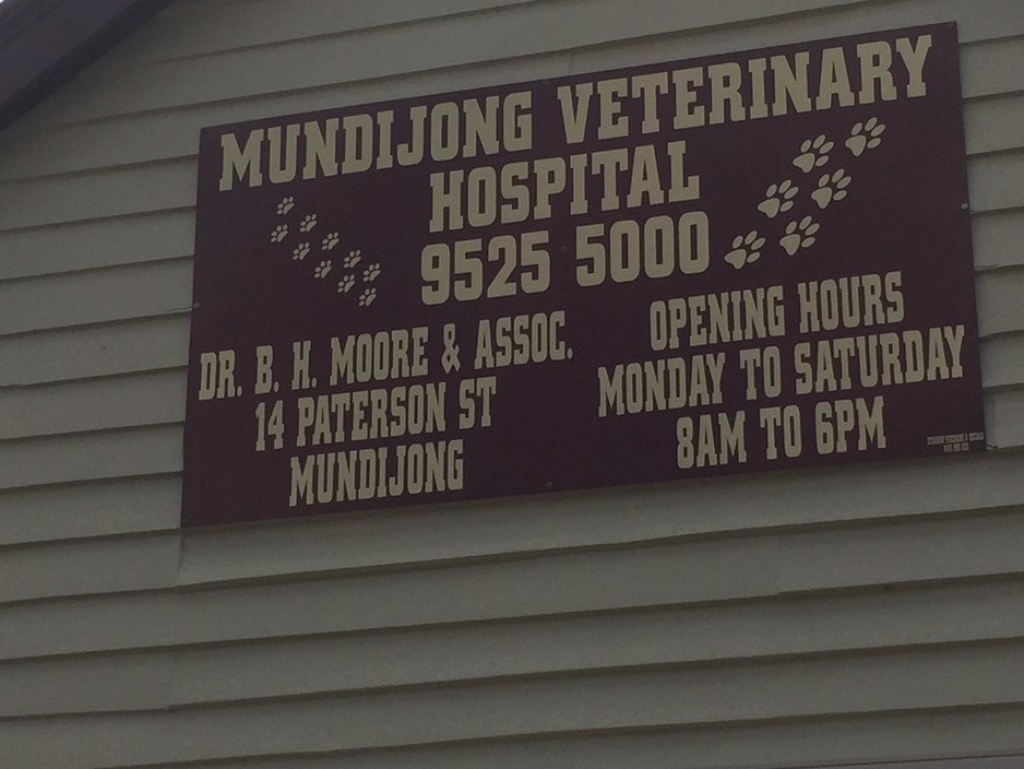 Mundijong Veterinary Hospital Pic 1