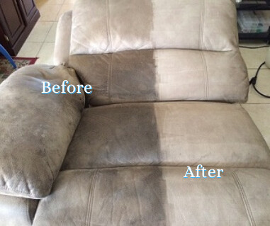 Major Carpet Cleaners Sydney Pic 1 - Leather sofa cleaning