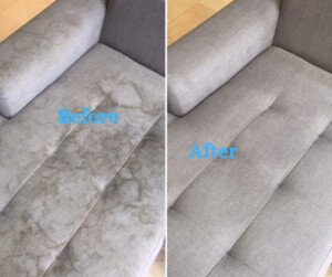 Major Carpet Cleaners Sydney Pic 3 - Couch Cleaning Sydney