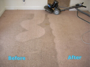 Major Carpet Cleaners Sydney Pic 4 - Carpet cleaning Sydney