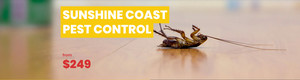 Sunshine Coast Pest Control Pic 2