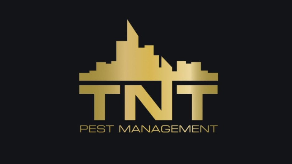 Tnt Pest Management Pic 1