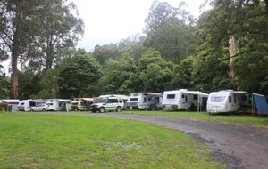 Tarra Valley Tourist Park &quot;Fernholme&quot; Pic 4 - Campground