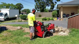 NVL Stump Grinding Pic 2