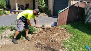 NVL Stump Grinding Pic 3