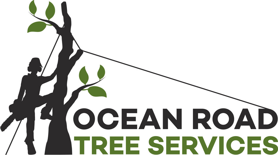 Ocean Road Tree Services Pic 1