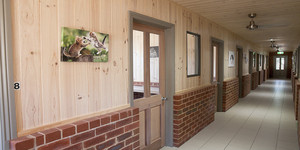 Cottage kennel and on sale cattery