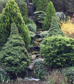 Tulip Farm Pic 2 - Waterfall