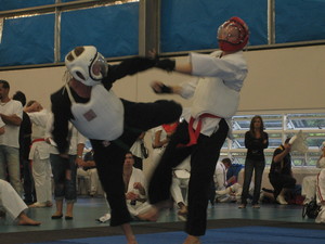 Ta Mo Tao Martial Arts Pic 3