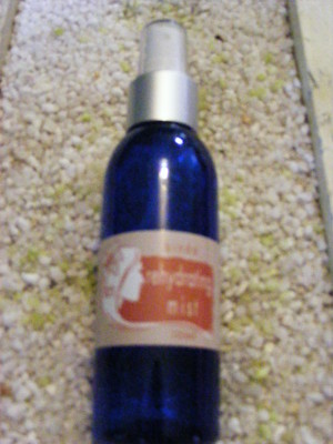 TKN Skincare Pic 4 - binda rehydrating mist