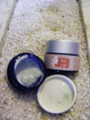 TKN Skincare Pic 2 - eucalypt sandstorm face scrub