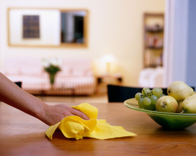 Shine Domestic Cleaning Pic 1