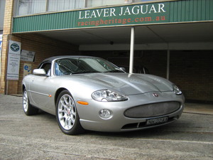 Leaver Jaguar Pic 5