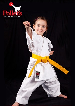 Pollet's Martial Arts Pic 4 - Little tigers class