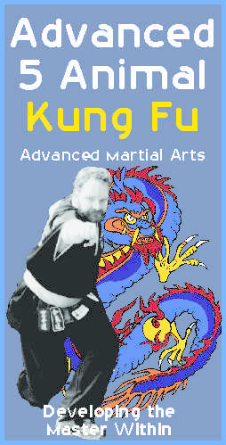 Shaolin Kung Fu Australia Pic 1 - Advance 5 Animal Kung Fu