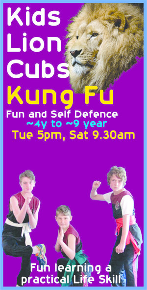 Shaolin Kung Fu Australia Pic 3 - Childrens Session Saturday 930am to 1030 am 4 to 9y Parents train then for free with their children