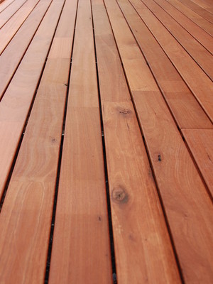 Swift Deck Pic 2