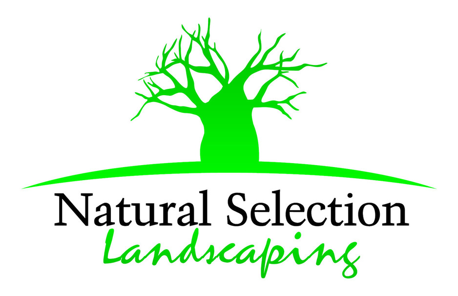 Natural Selection Landscaping Pic 1