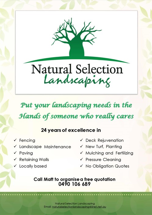 Natural Selection Landscaping Pic 2