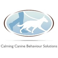 Calming Canine Behaviour Solutions Pic 1