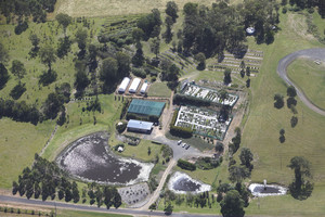 Natives 'R' Us Nursery Pic 3