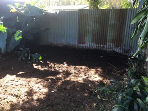 Working Bee Rubbish Removal Pic 2