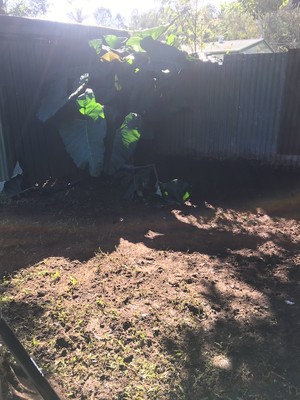 Working Bee Rubbish Removal Pic 5 - Finished yard by workingbeerubbishremoval removed years of lawn clippings