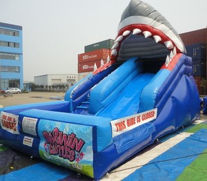 Darwin Castles And Slides Pic 4 - Shark