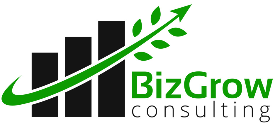 BizGrow Consulting Pic 1