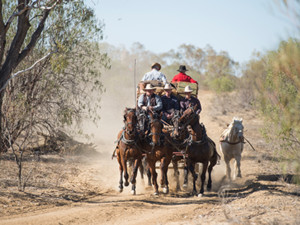 Outback Pioneers Pic 2 - Gallop along the old Windorah Mail route on our Cobb and Co Stagecoach Experience