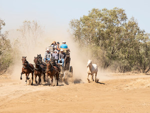 Outback Pioneers Pic 3 - Experience the thrill of riding a Cobb and Co Stagecoach on the old Windorah mail route