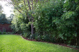 Cadogan Gardens Pic 2 - Lawn Glen Iris