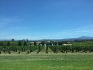 Oakridge Wines Pic 3