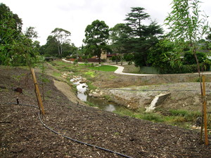 Online Plant Hire Services Pty Ltd Pic 5 - Creek Rehabilitation