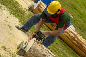 Vrl Tree Services Pic 3 - Tree Pruning