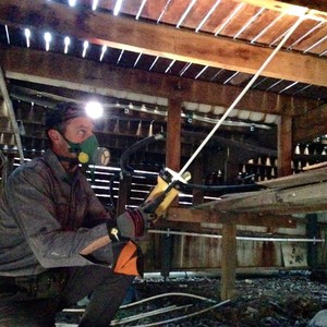 Southeast Home Inspections Pic 4 - Timber Pest Inspection through a subfloor