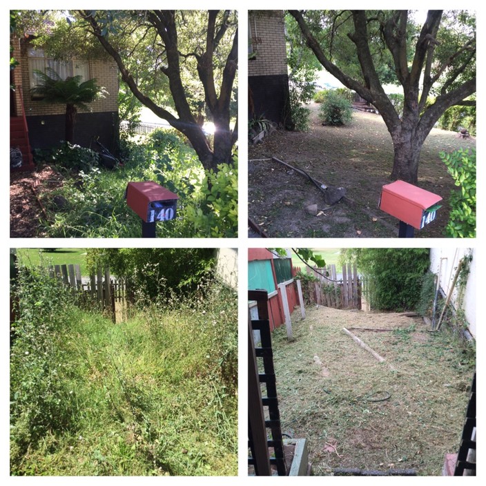 Simply Green Garden Care Services Pic 2