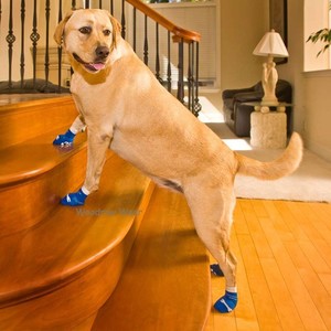 Topdogs.com.au Pic 4 - Non slip dog socks regular