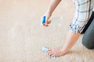 Fresh Carpet Cleaning Pic 3